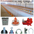 Automatic Poultry Farm Equipment for Broiler Production